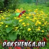 Конкурс "Уютный дворик". Июль 2012 год.